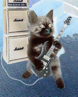 funny_37.gif image by jessi111_01